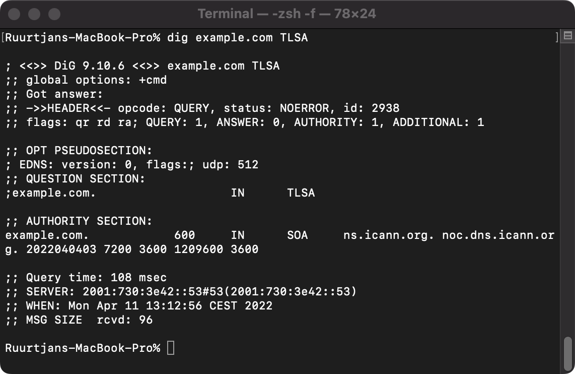 Example output of a TLSA lookup query